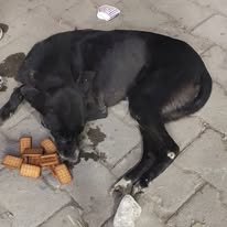 HHH NGO — Care & Recovery in Sonipat, Haryana