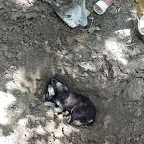 HHH NGO — Anna Daan in Sonipat, Haryana