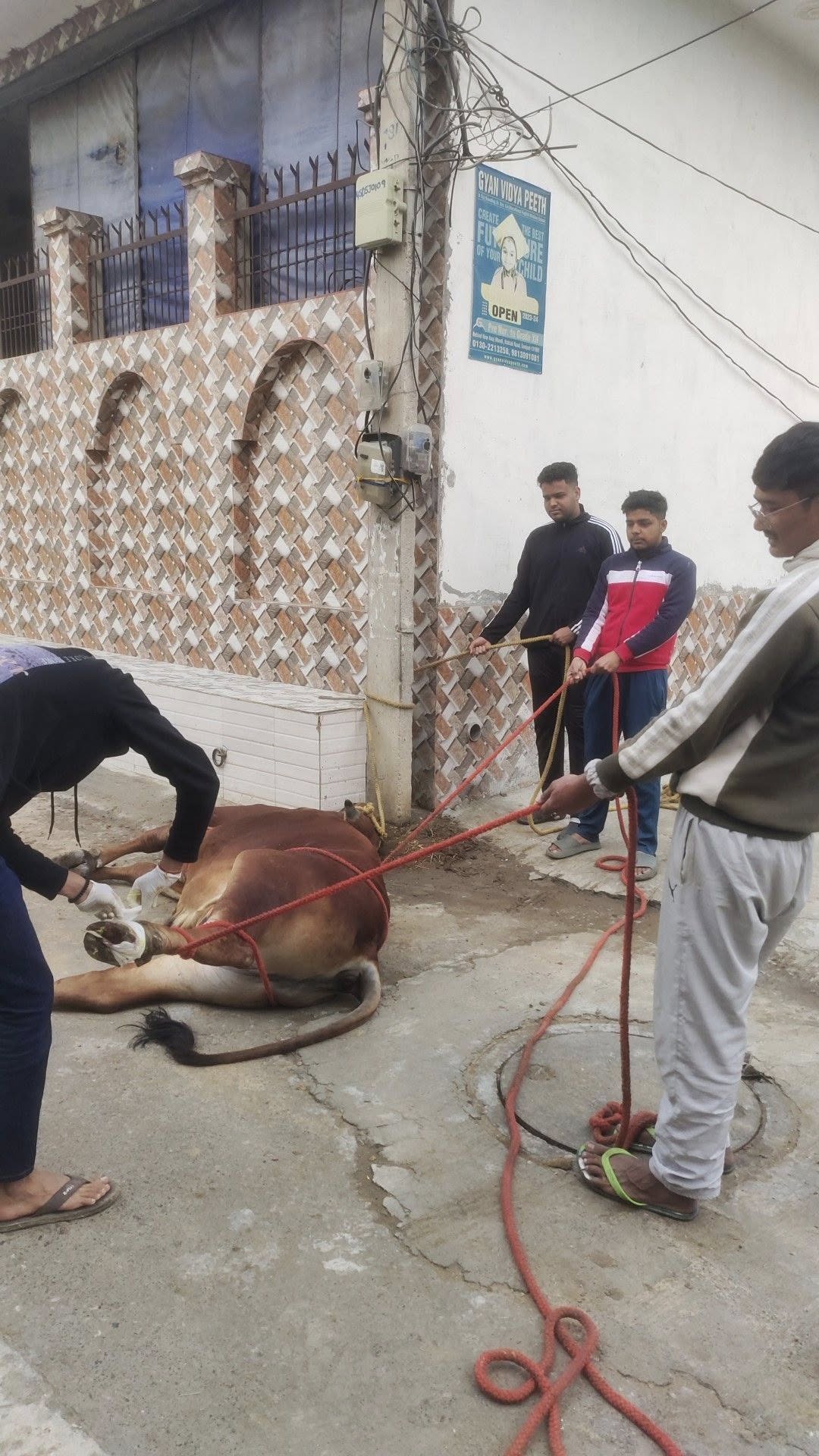 HHH NGO — Healing Journey in Sonipat, Haryana