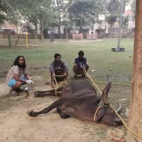 HHH NGO — Community Seva in Sonipat, Haryana