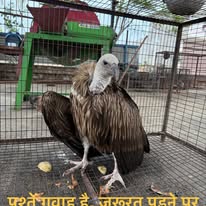 HHH NGO — Rescue Work in Sonipat, Haryana